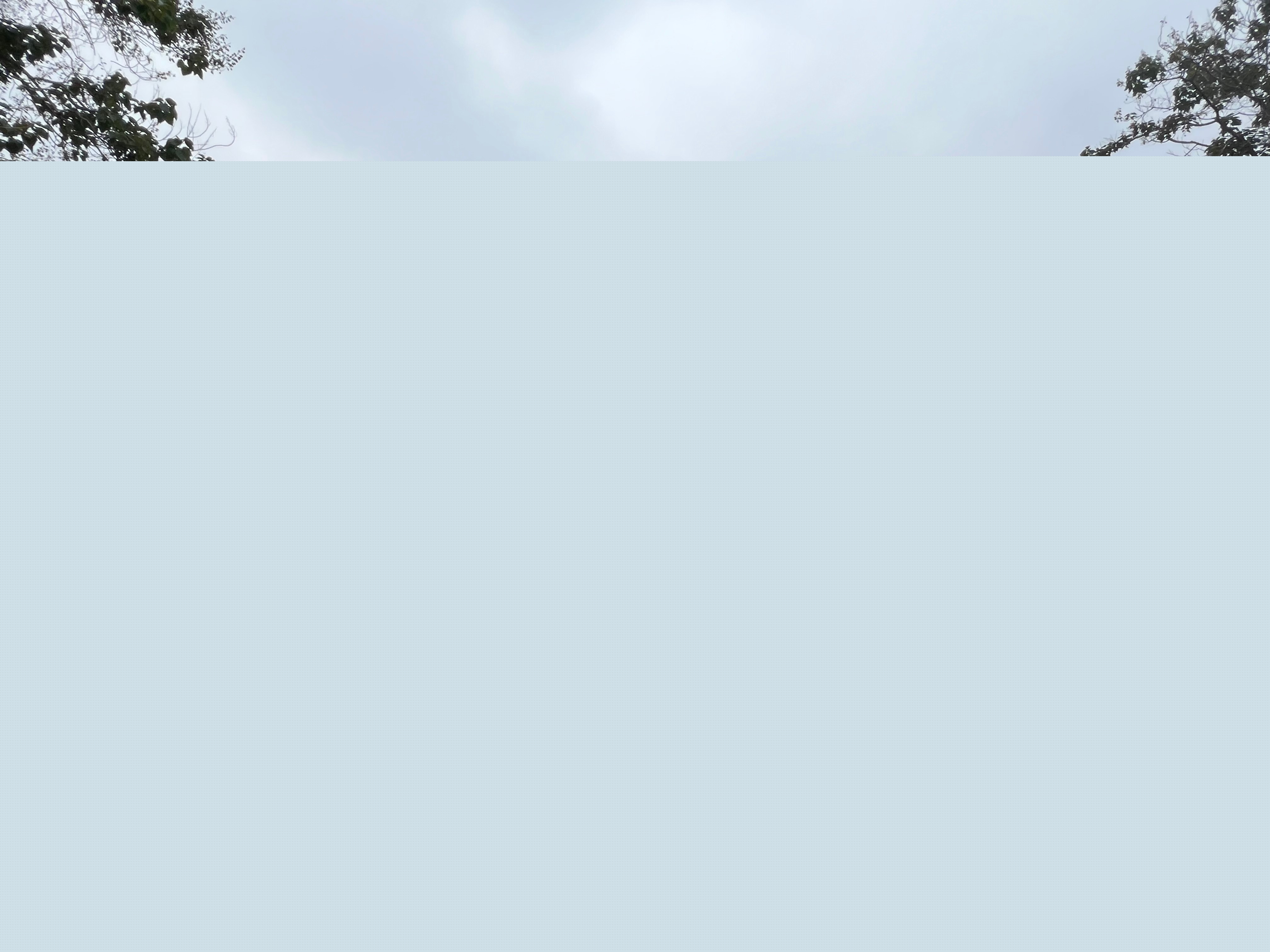 圖片關(guān)鍵詞